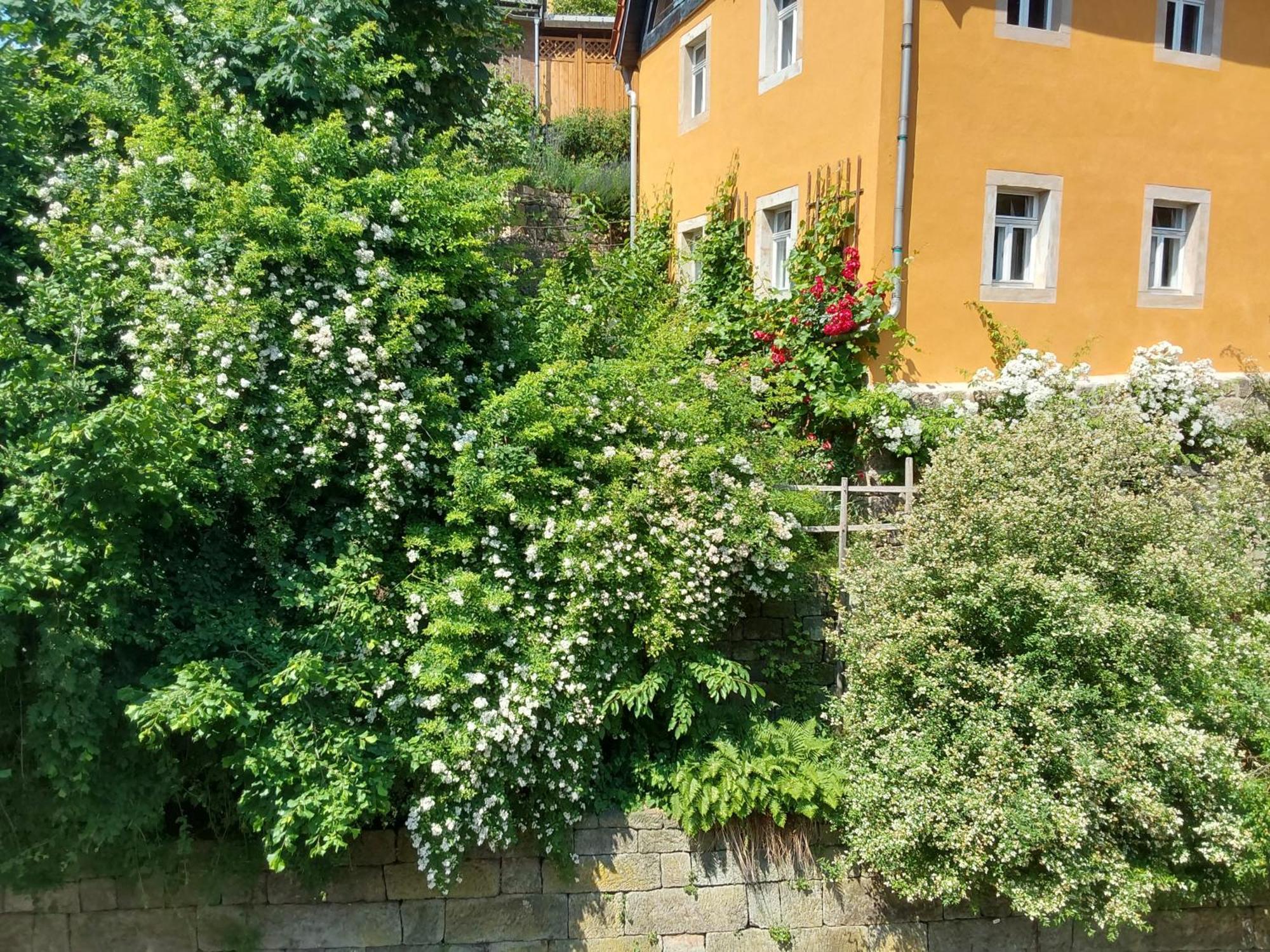 Bed And Breakfast Wehlen Stadt Wehlen Buitenkant foto